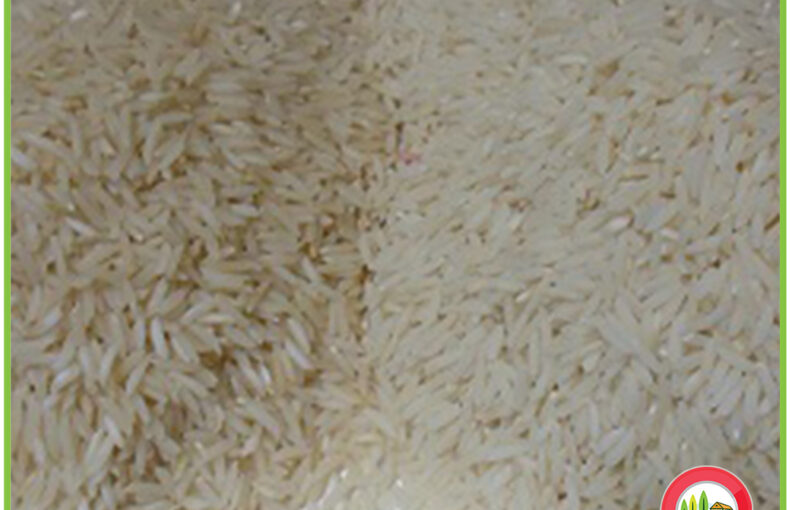 white rice vs brown