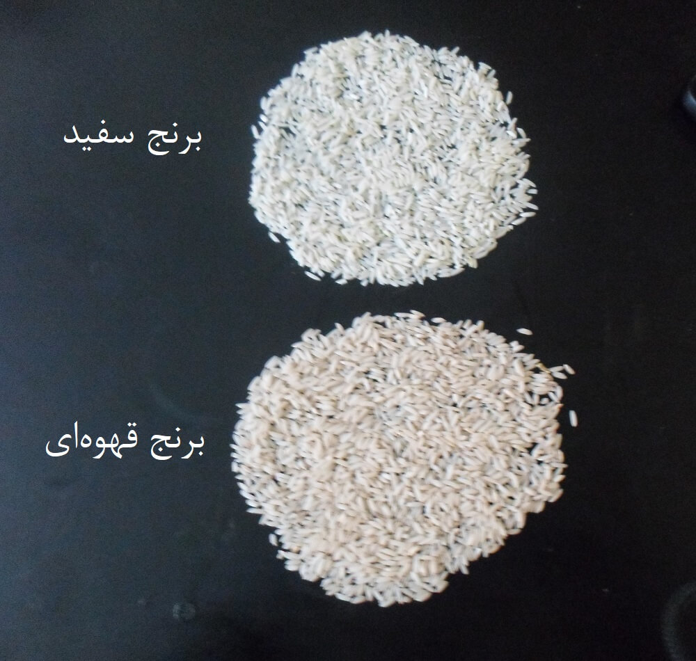مقایسه و تفاوت برنج سفید و قهوه ای