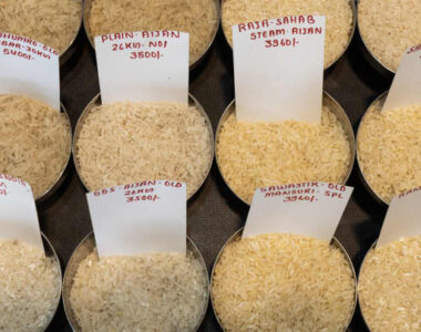 تولید و قیمت جهانی برنج