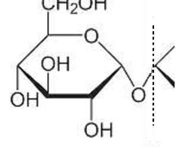 amylose formula