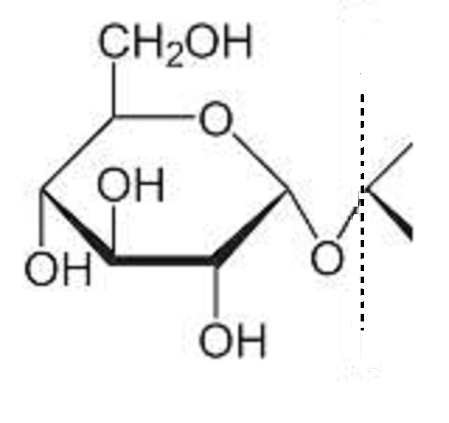 amylose formula