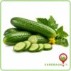 خیار گلخانه ای درجه یک