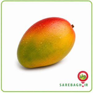 انبه ممتاز 400 تا 450 گرم