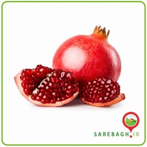 انار ممتاز
