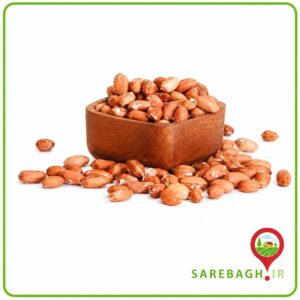 بادام زمینی آجیلی درجه یک